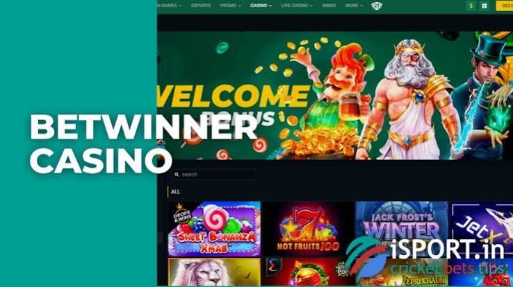 Your Ultimate Guide to BetWinner Platform